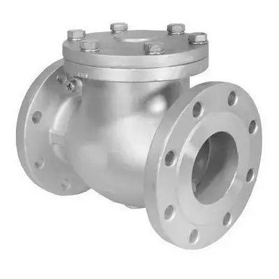 Industrial Strainers